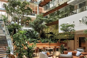 67b2f69993ac7d65f317dd96 Morning Laffitte